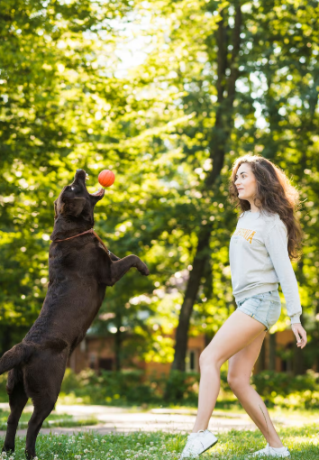 The Importance of Daily Play