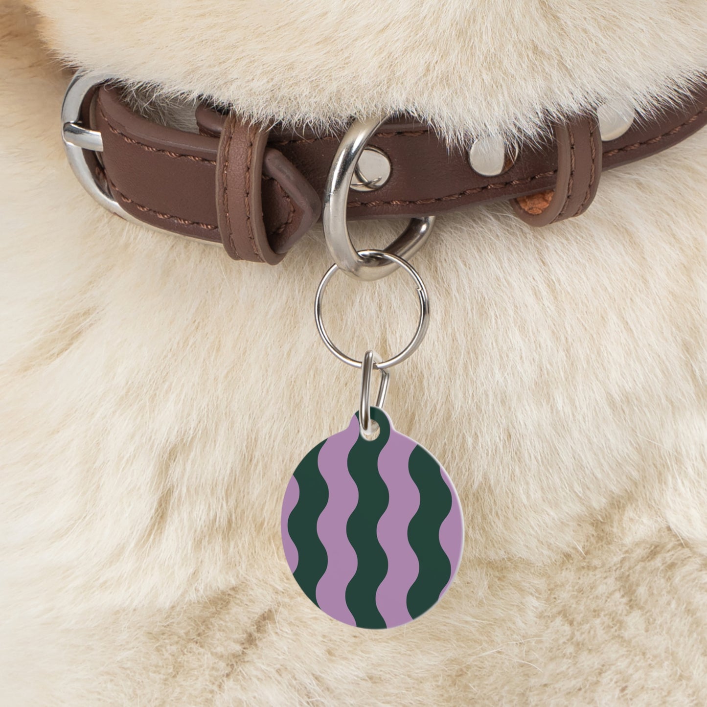 Pet Tag - Dog Tag