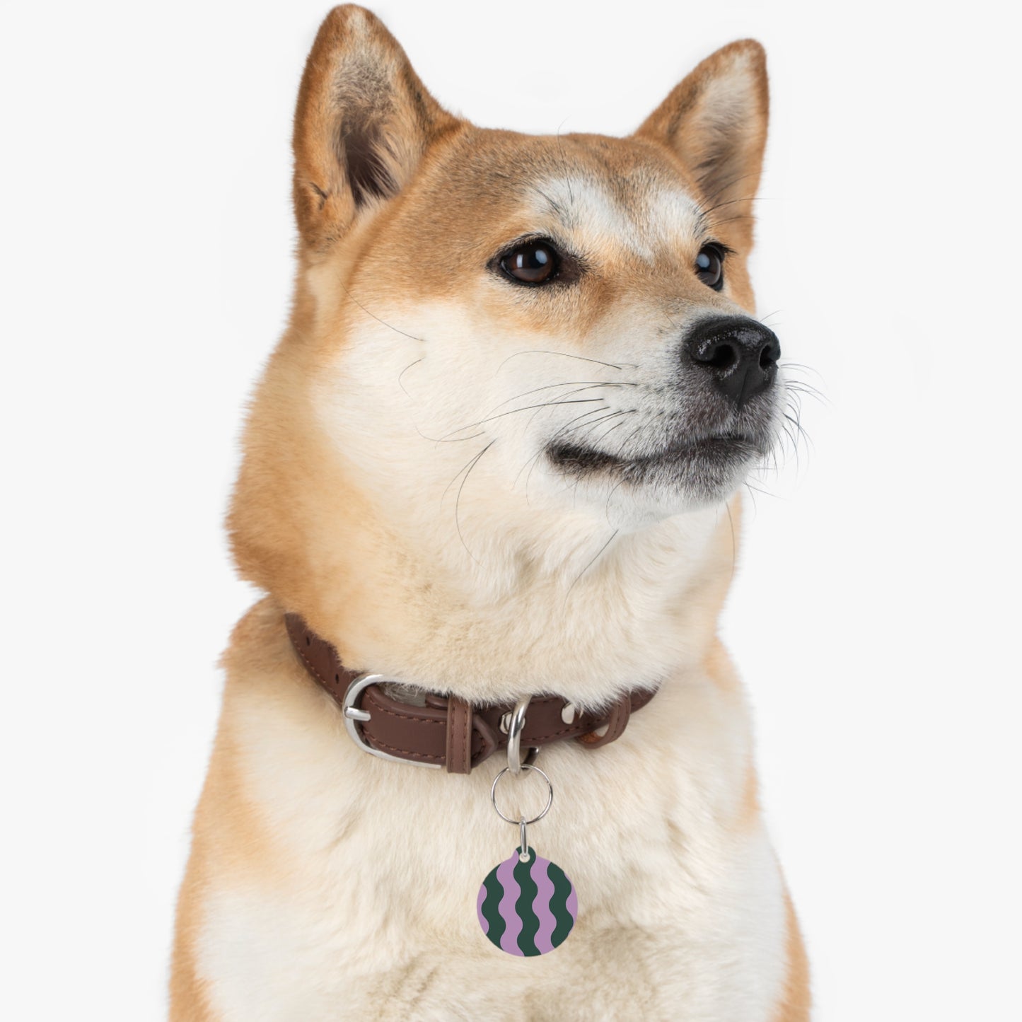 Pet Tag - Dog Tag