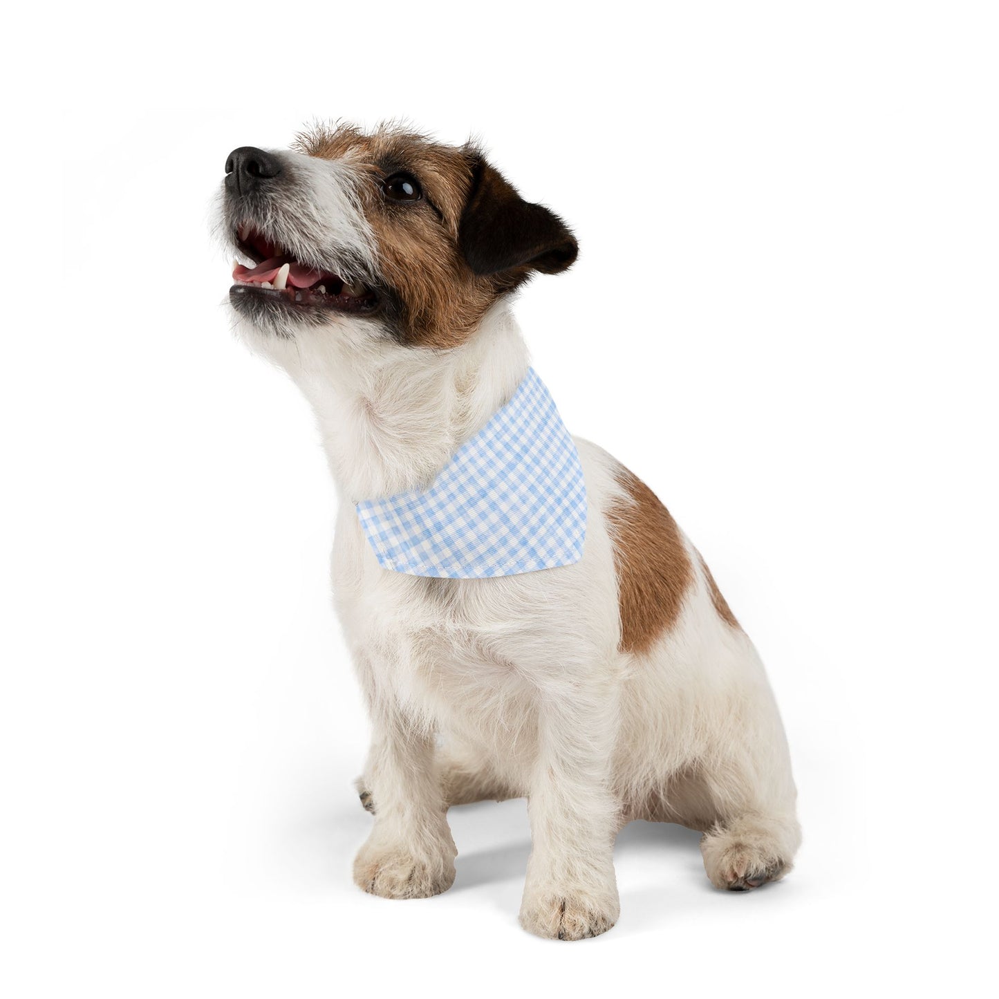 Charming Blue Gingham Pet Bandana Collar