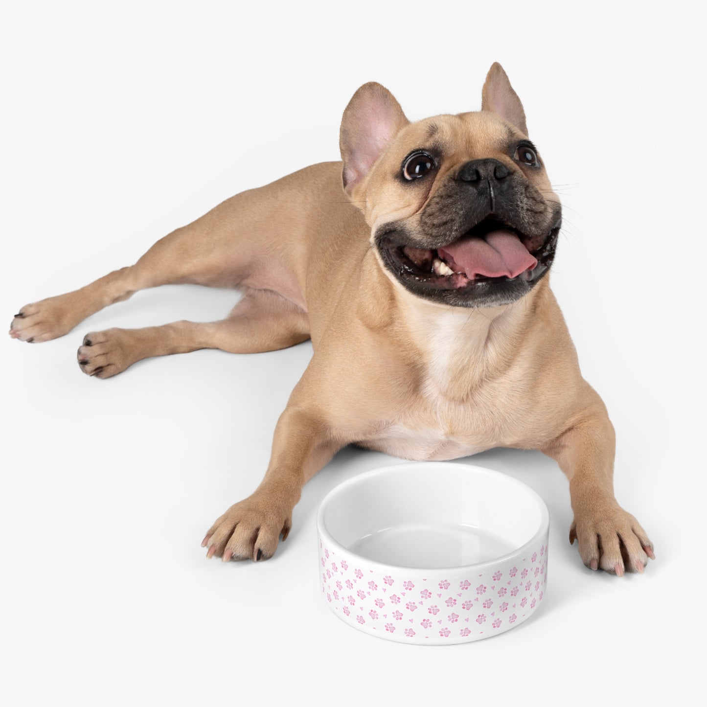 Stylish Pet Bowl with Modern Design