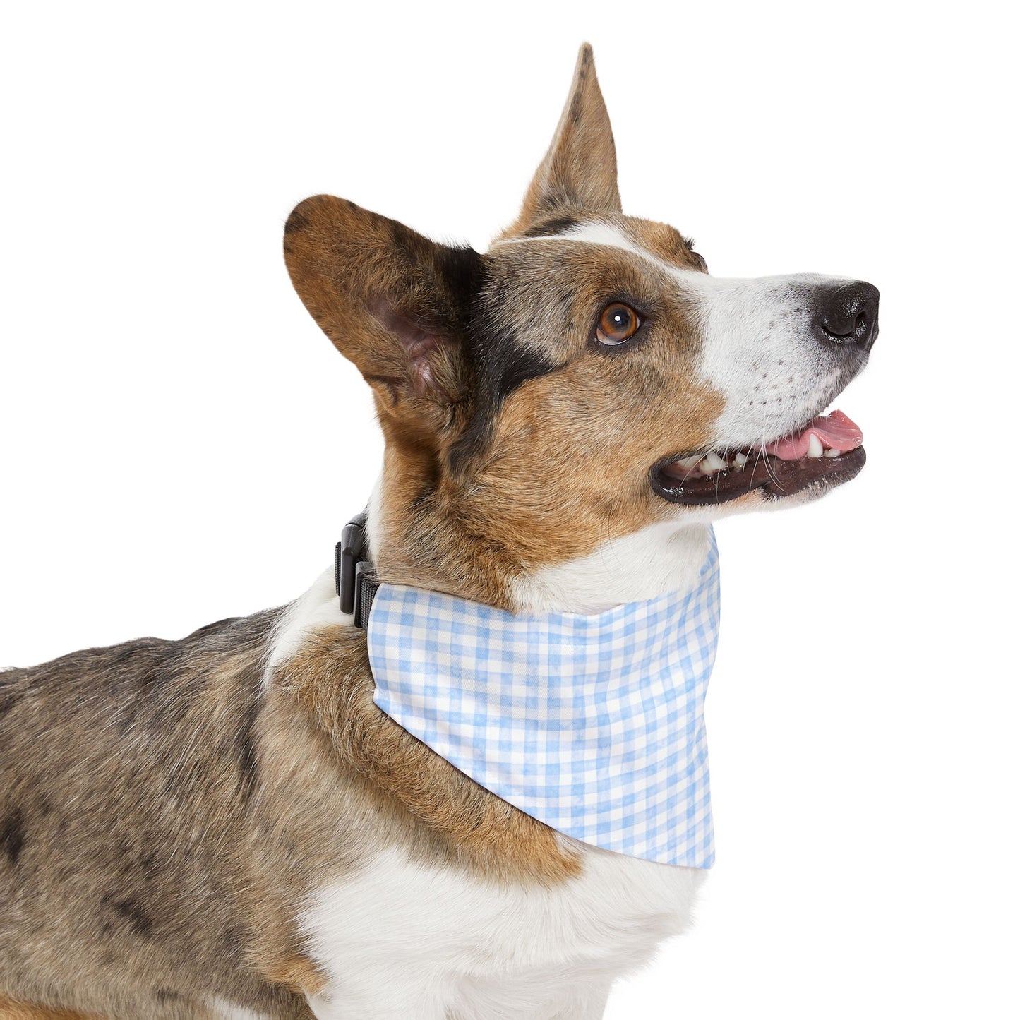 Charming Blue Gingham Pet Bandana Collar