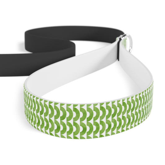 Stylish Pet Leash for Dog Walking