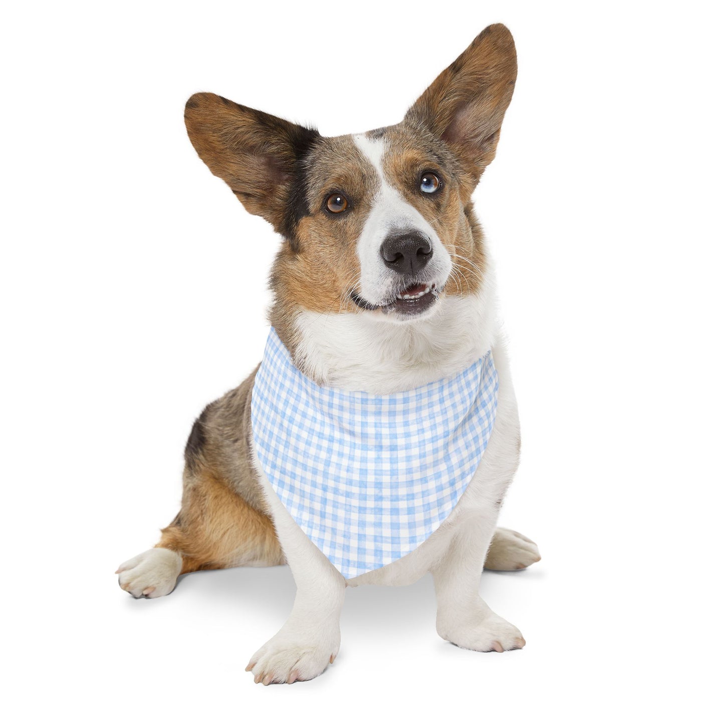 Charming Blue Gingham Pet Bandana Collar