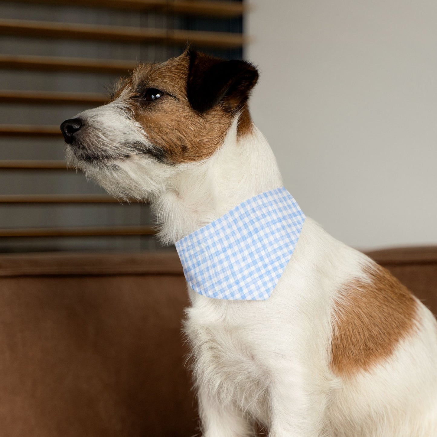 Charming Blue Gingham Pet Bandana Collar