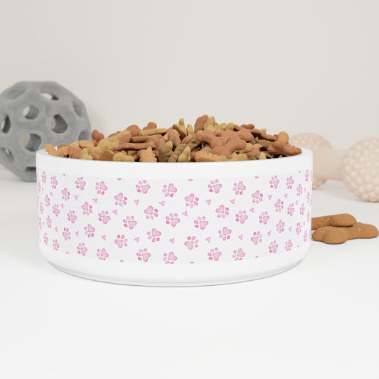 Stylish Pet Bowl with Modern Design