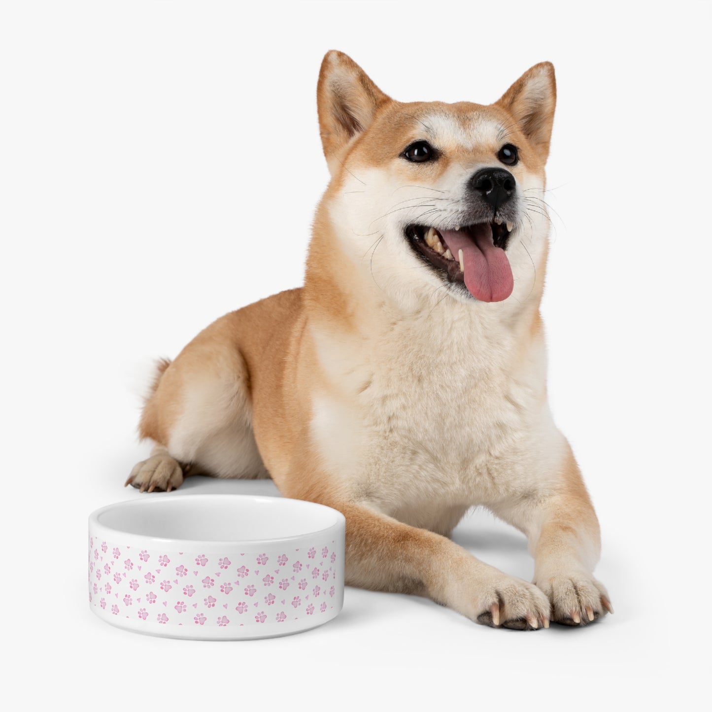 Stylish Pet Bowl with Modern Design