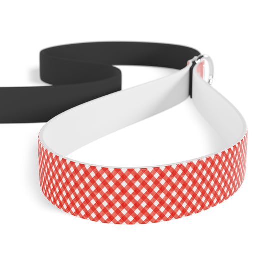 Stylish Pet Leash for Everyday Walks