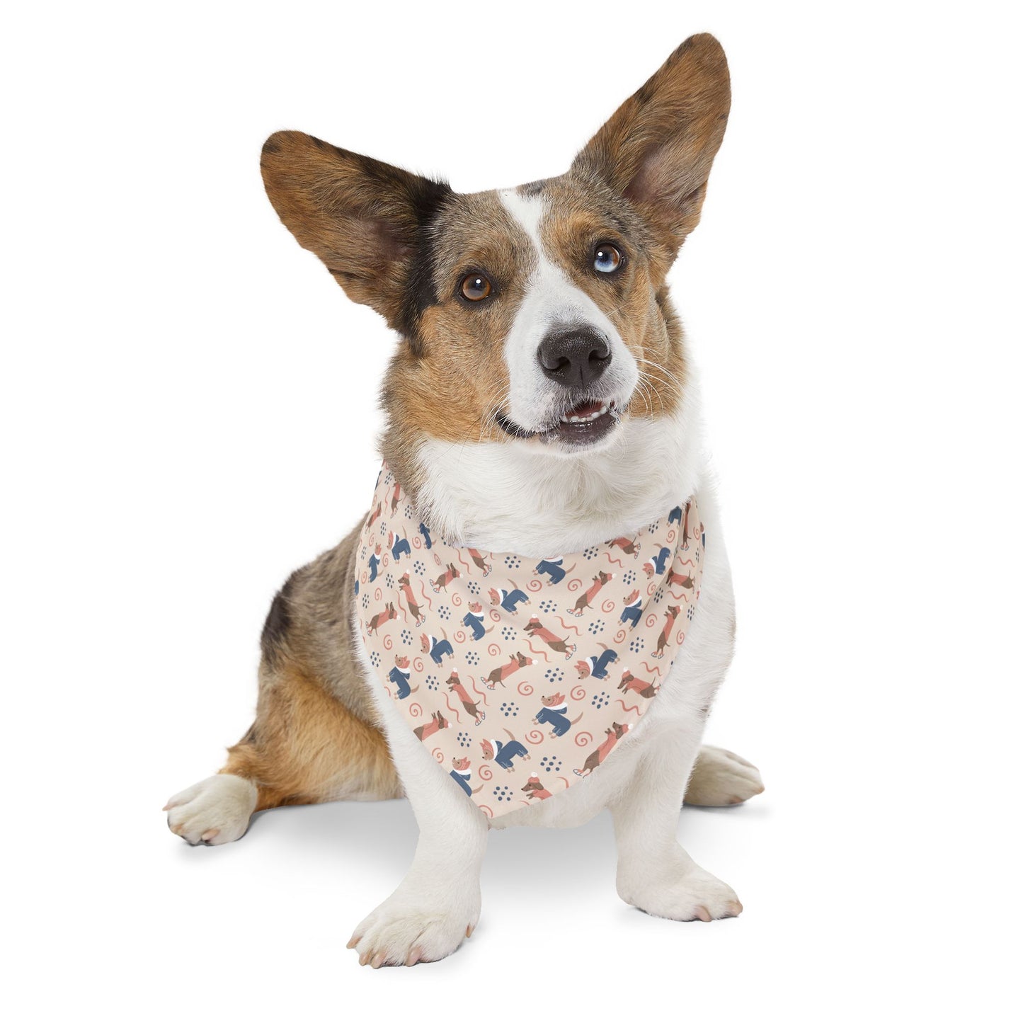 Stylish Pet Bandana Collar